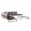 Amber Sofa With Coffee Table