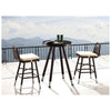 Fatsia Bar Set For 2